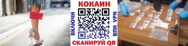 MEGA ONION  Завитинск  Кокаин FishScale  купить закладку 