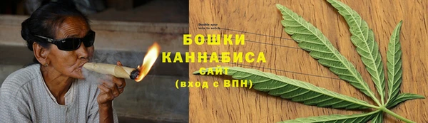 СК Вязьма