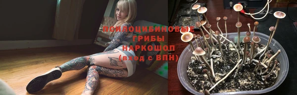 дурь Алапаевск