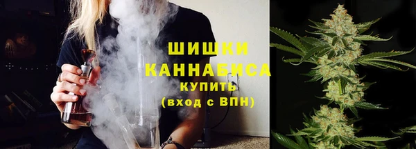 СК Вязьма