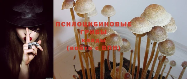 СК Вязьма