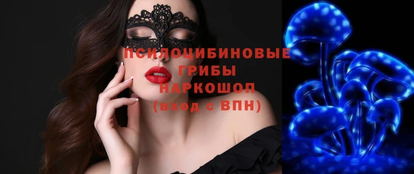 mdpv Вяземский