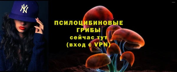 spice Вязники