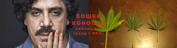 стафф Горно-Алтайск