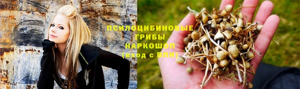 прущий лед Верея