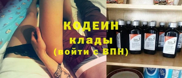 mdpv Вяземский