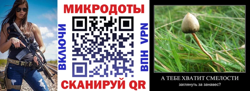 Псилоцибиновые грибы GOLDEN TEACHER  МЕГА   Завитинск 
